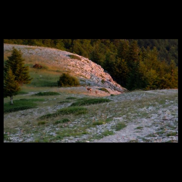 PHOTO84, CLUB, 84 , LUBERON